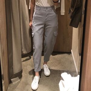 Aritzia - Wilfred High Waisted Cargo Pant in Purple Slate